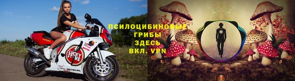 винт Армянск
