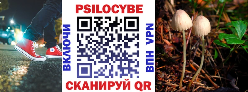 Галлюциногенные грибы Magic Shrooms  Купить закладки  Старица 